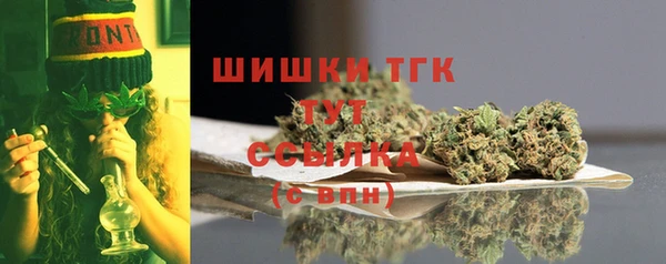 сатива Арсеньев