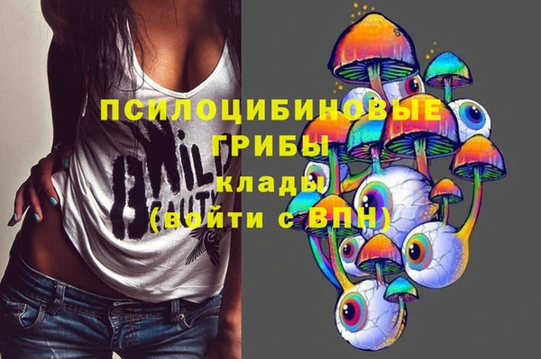 сатива Арсеньев