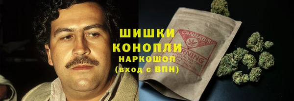 сатива Арсеньев