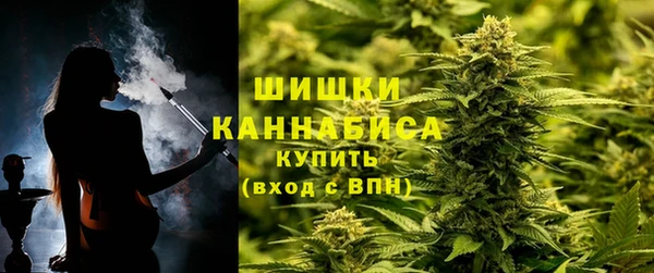 сатива Арсеньев