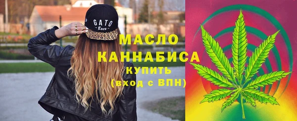 сатива Аркадак