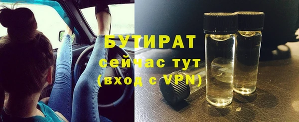 сатива Аркадак