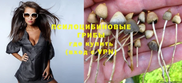 сатива Аркадак