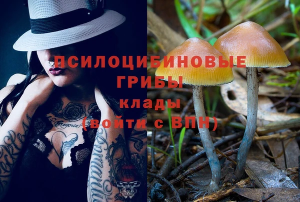 сатива Аркадак
