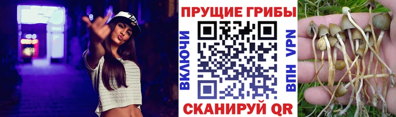 Галлюциногенные грибы ЛСД  Бавлы 